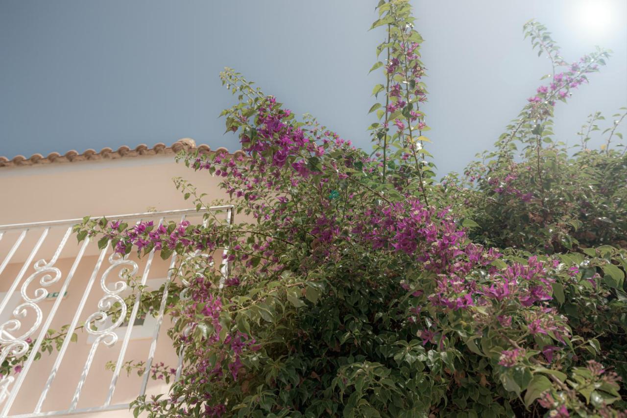 Ecoresort Hotel Zefyros Agios Kirikos  Exterior photo