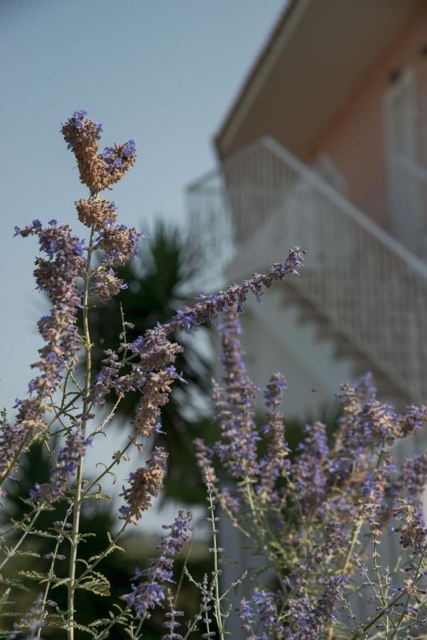Ecoresort Hotel Zefyros Agios Kirikos  Exterior photo
