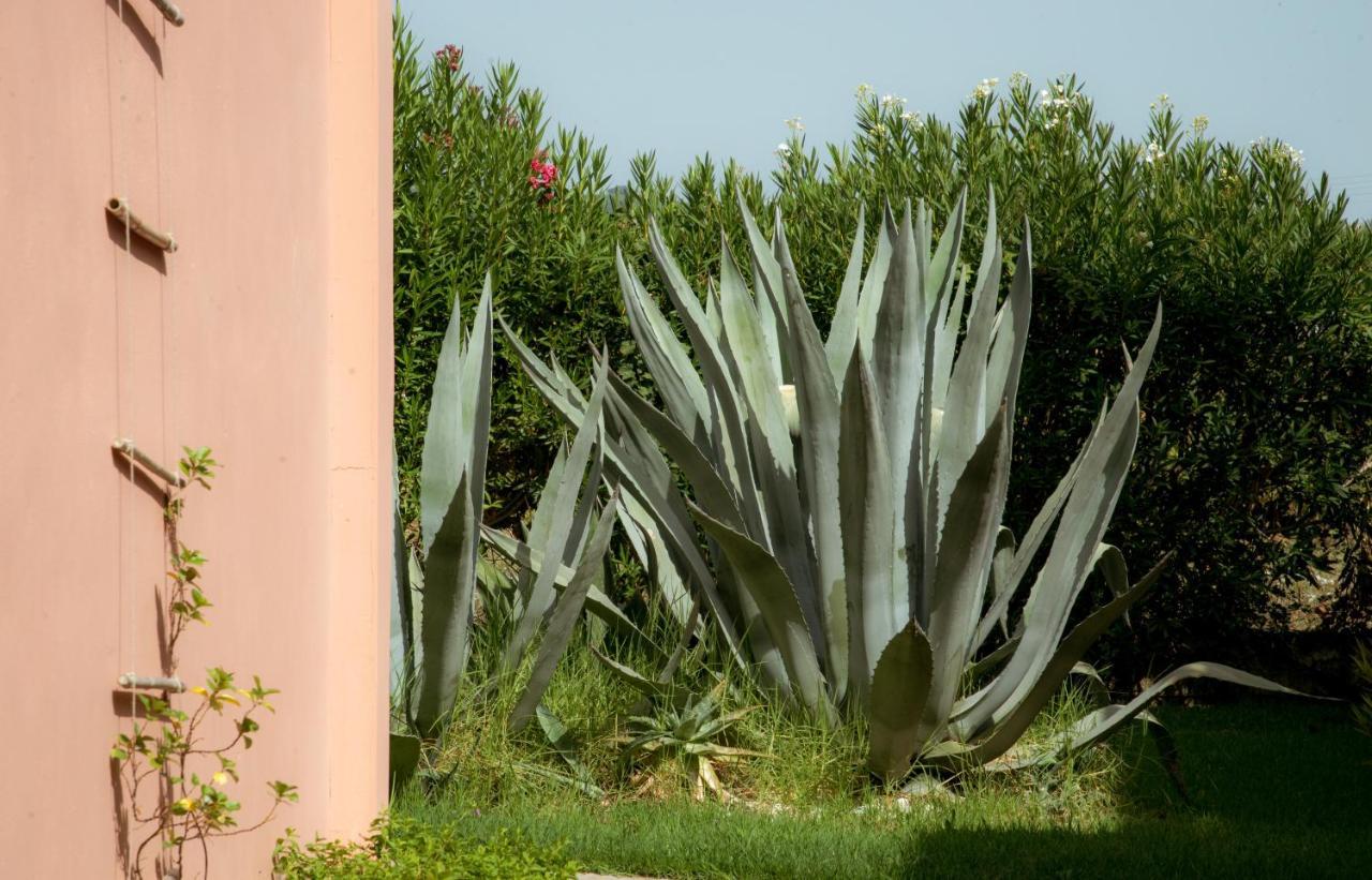 Ecoresort Hotel Zefyros Agios Kirikos  Exterior photo